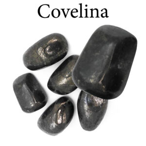 Covelina