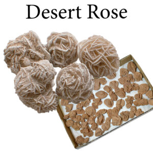 Desert Rose