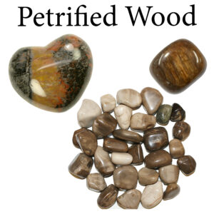 Petrified Wood