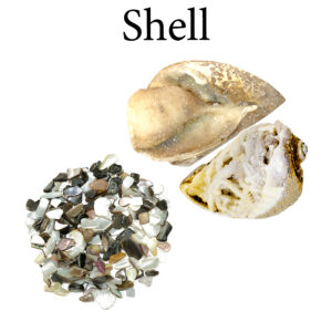 Shell