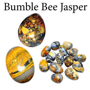 Jasper, Bumble Bee