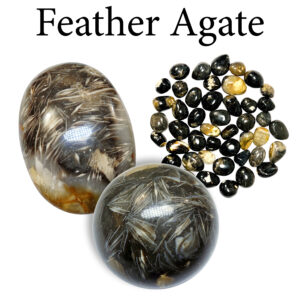 Agate, Feather